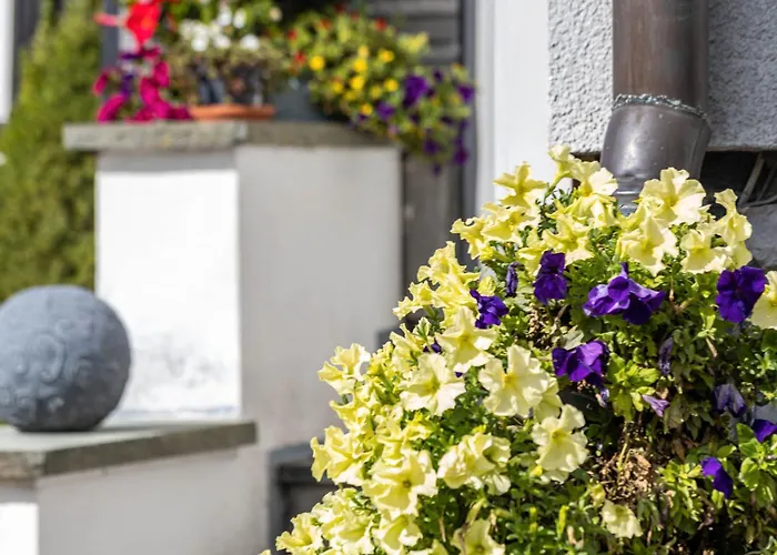 Mama Mia Apartamento *